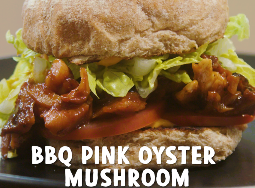 BBQ-Pink-Oyster-Mushroom-Sandwich-850x625