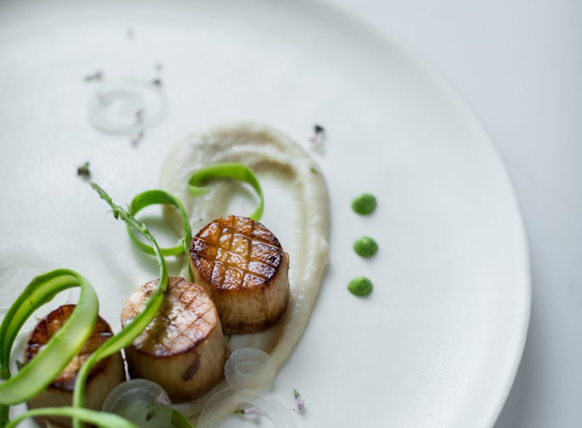 king oyster scallops