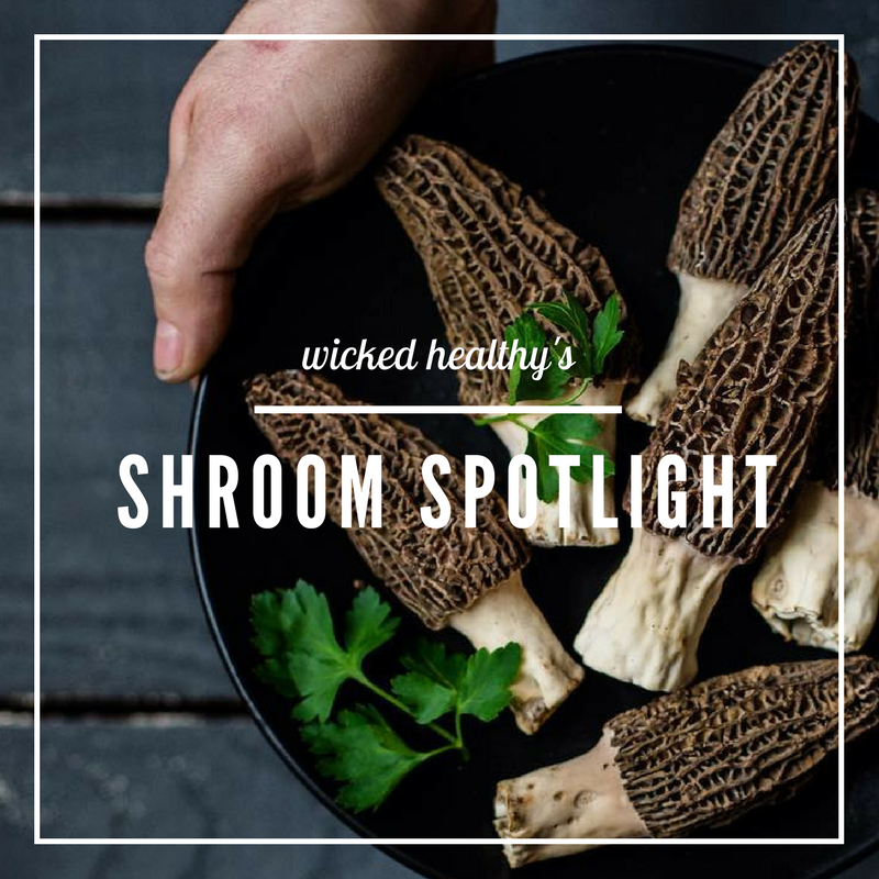 Shroom-Spotlight-Morcheln