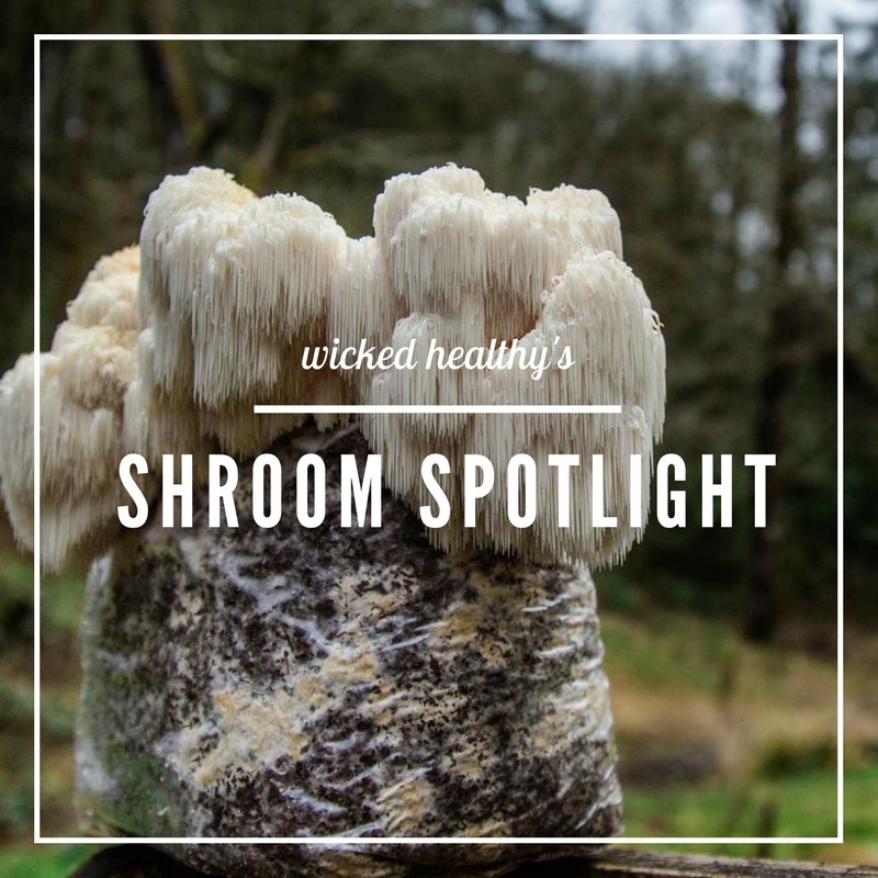 Spotlight sui funghi