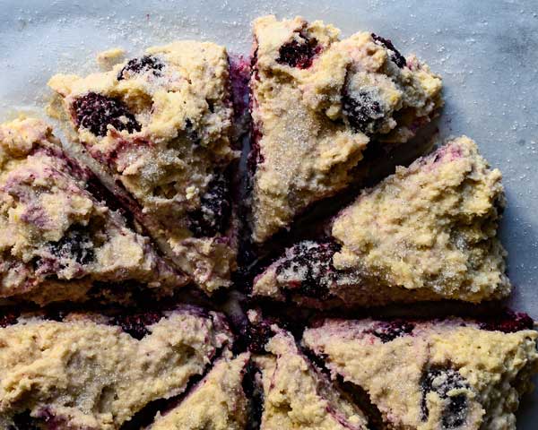 Scones aux mûres