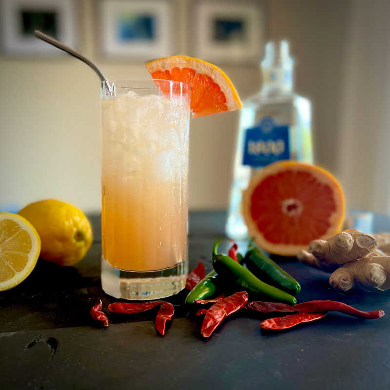cocktail van citrus en kruiden
