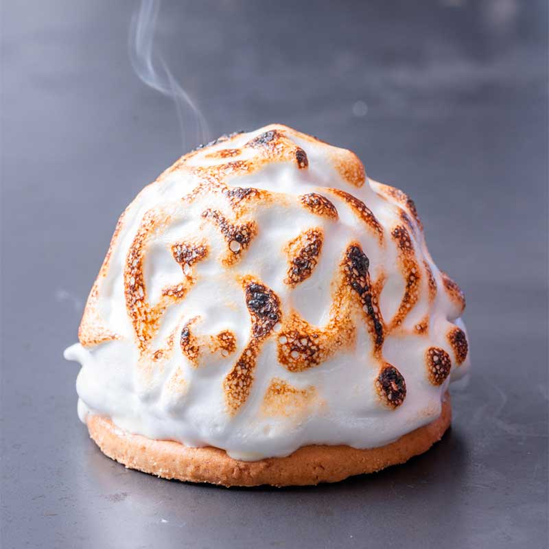 Vegan Baked Alaska - Project Vegan Baking