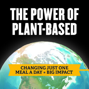 The Power of Plant-Based
