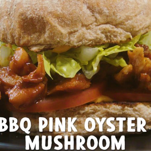 BBQ-Pink-Oyster-Mushroom-Sandwich-850x625