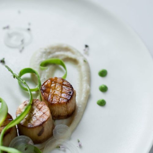 king oyster scallops