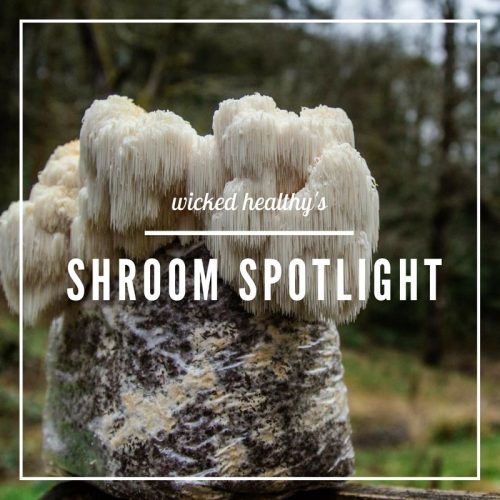 Shroom-Spotlight