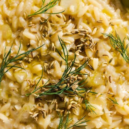 creamy orzo with fennel
