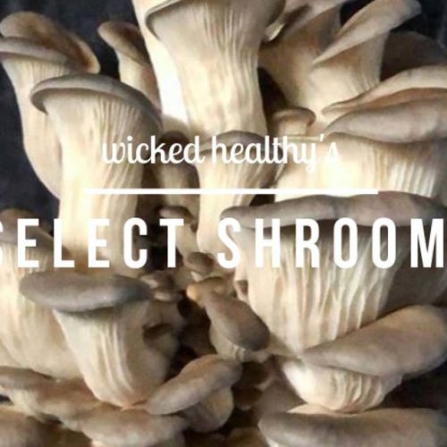 wicked-healthy-select-shrooms